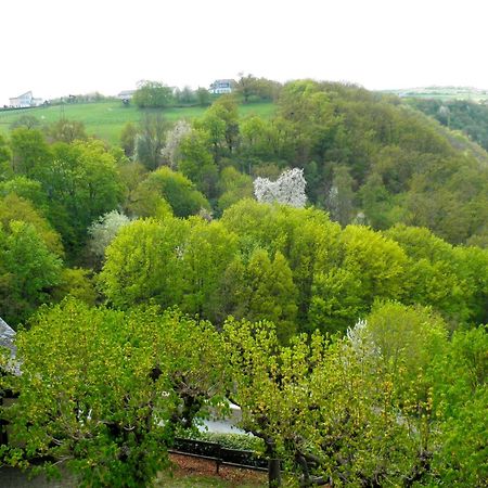 Burghotel Auf Schoenburg أوبرفيزل الغرفة الصورة