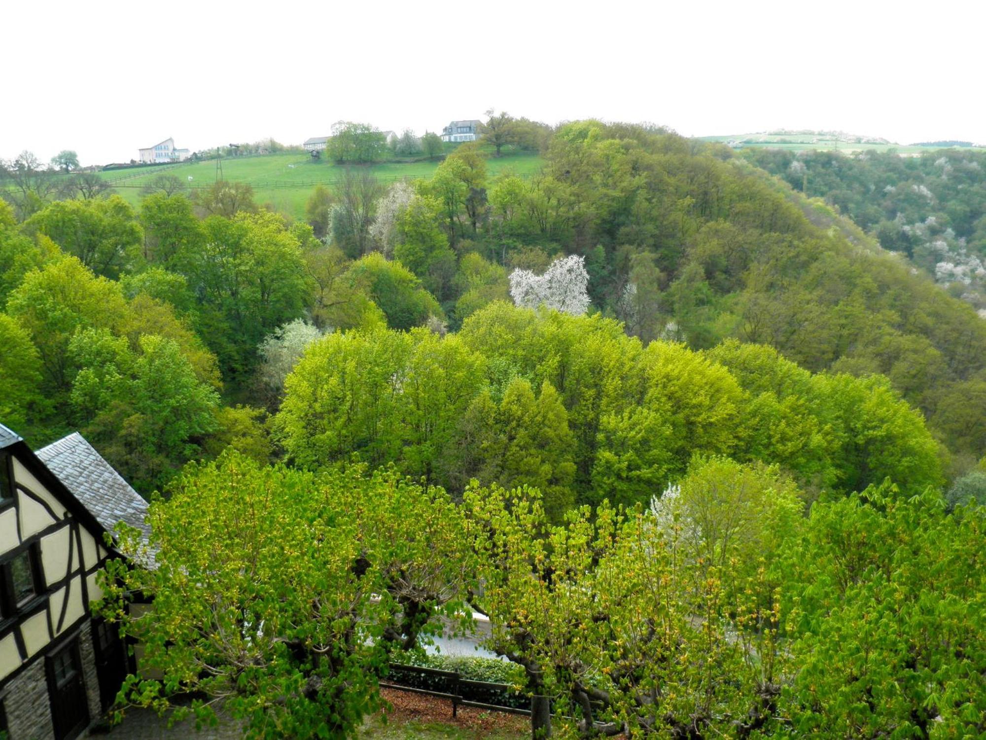 Burghotel Auf Schoenburg أوبرفيزل الغرفة الصورة