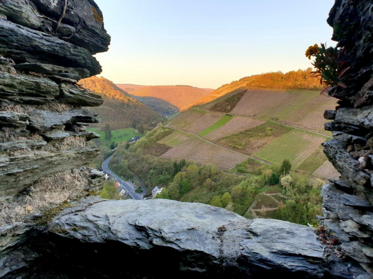 Burghotel Auf Schoenburg أوبرفيزل المظهر الخارجي الصورة